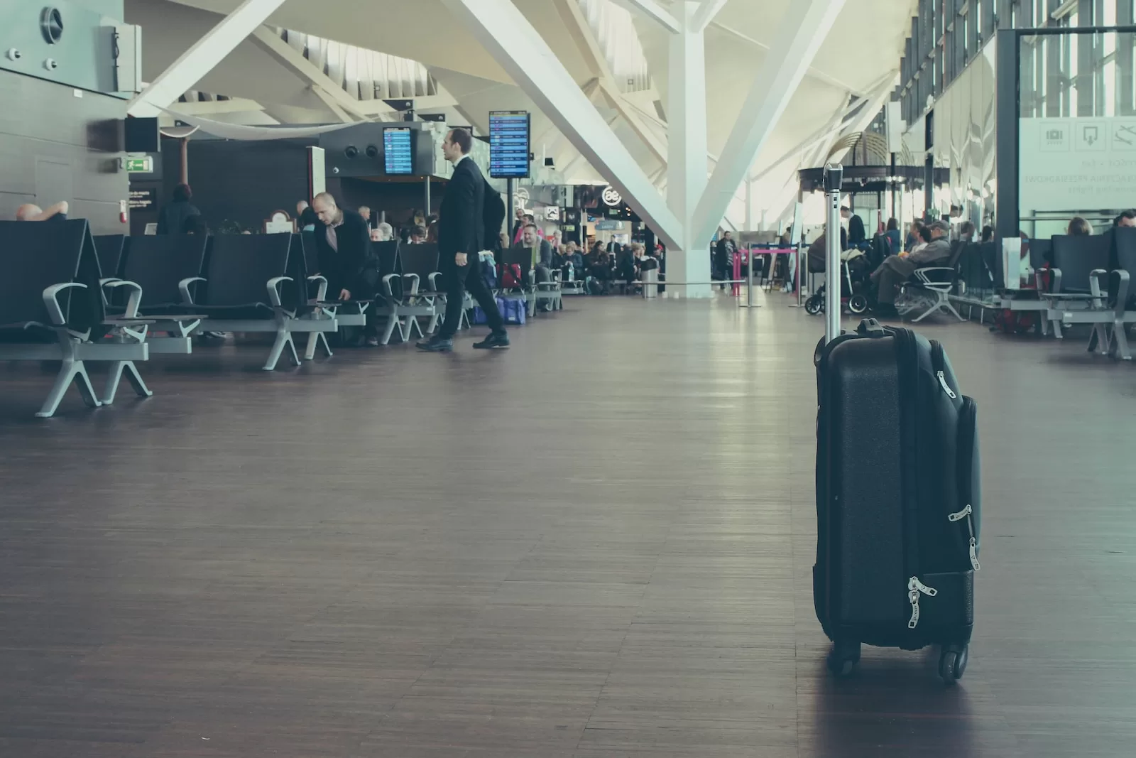 valise de voyage le bon coin