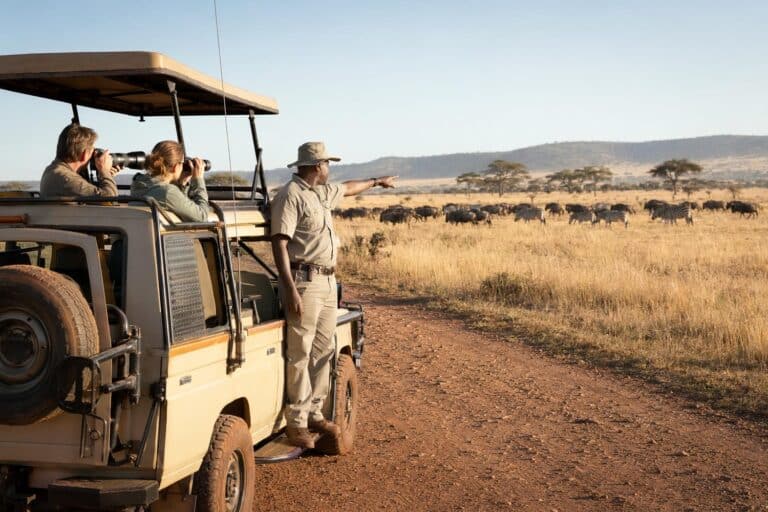 meilleur moment partir au kenya